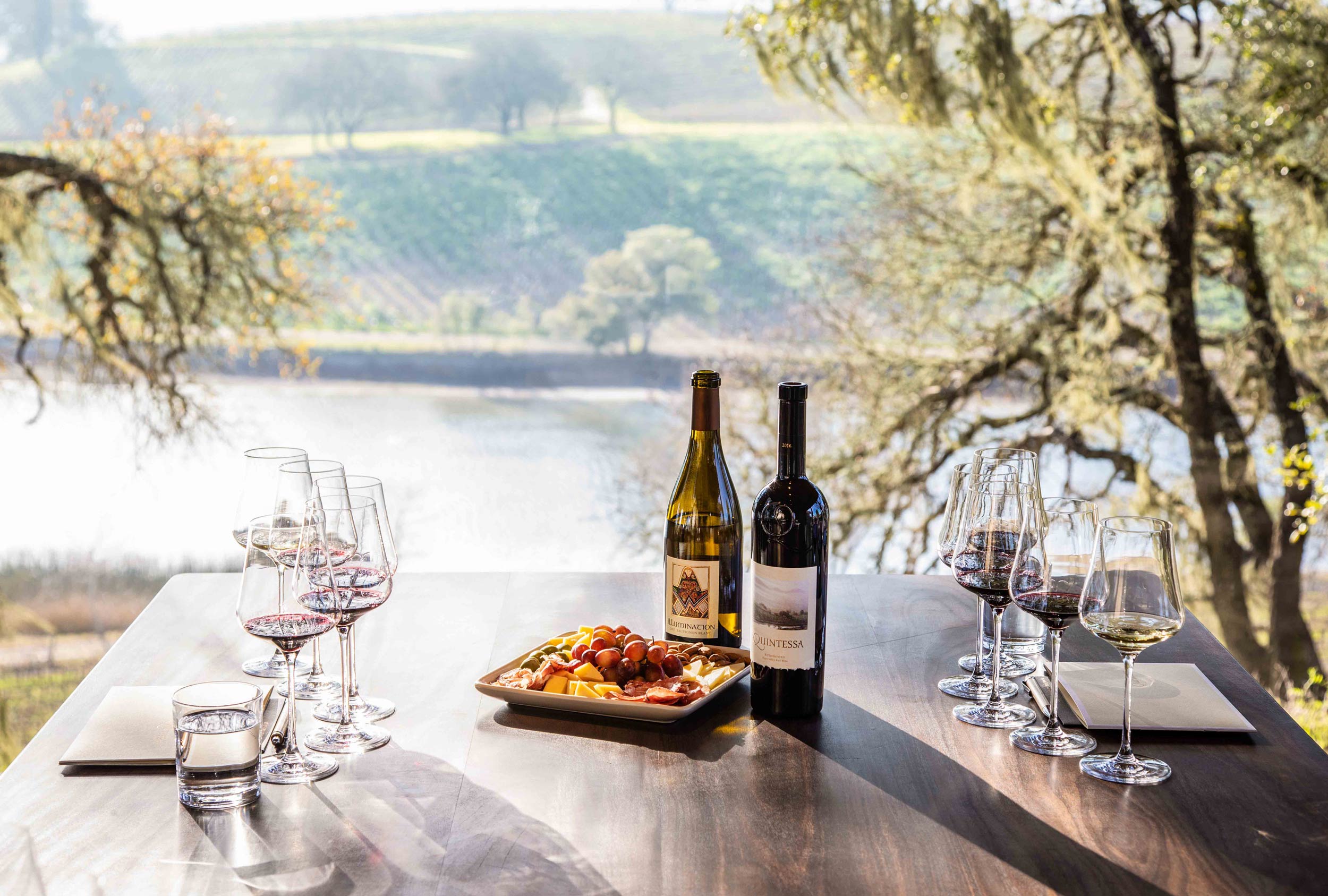 LauraFlippen_WineCountry--14